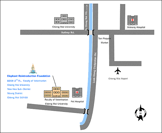 Map : Elephant Reintroduction Foundation Chiang Mai Office