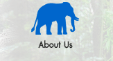 background about ǡѺŹԸ ŹԸԤ׹ҧҵ | Elephant Reintroduction Foundation