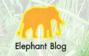 Activities ԨѨغѹ ŹԸԤ׹ҧҵ | Elephant Reintroduction Foundation