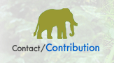 Contact / Donate ԴŹԸ / ԨҤ ŹԸԤ׹ҧҵ | Elephant Reintroduction Foundation